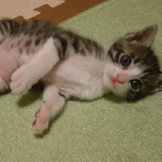 🌟 накурилсч заебись, Telegram sticker 12 of 55