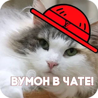 Sticker from Пираты > @ChatPirates1007