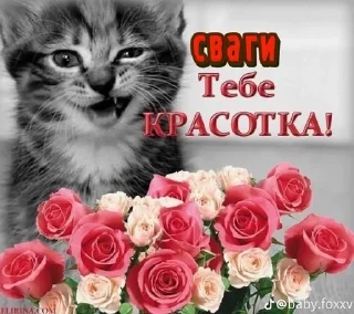 💋 emoji храни тебя бог Telegram sticker 8 of 89