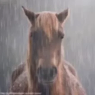 😭 emoji килькино творение Telegram sticker 15 of 92