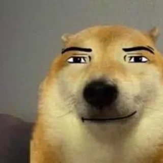 😎 emoji Самые понские бибы Telegram sticker 23 of 33