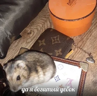😎 emoji чикипук🐀 Telegram sticker 6 of 53