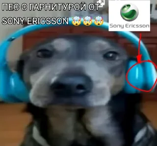 😱 emoji КТОТАКОПС 🤪 Telegram sticker 10 of 17