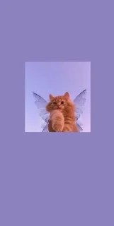 🌟 emoji Аестетикарр💅💕 Telegram sticker 9 of 83