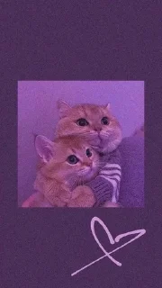🌟 emoji Аестетикарр💅💕 Telegram sticker 10 of 83