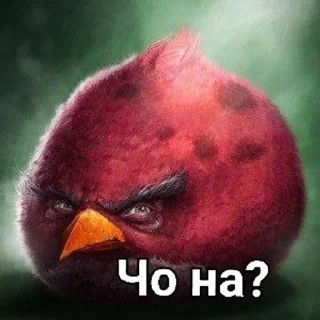 😠 emoji Angry birds Telegram sticker 3 of 20