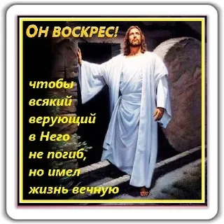 😇 emoji @TVstickers Jesus Born Telegram sticker 19 of 50