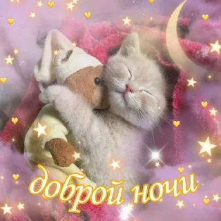 😴 emoji syo <3 Telegram sticker 14 of 56