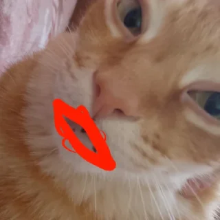 💋 emoji Kamhatska_skatina Telegram sticker 17 of 120