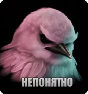 ✅ emoji вам снились эти люди Telegram sticker 10 of 26