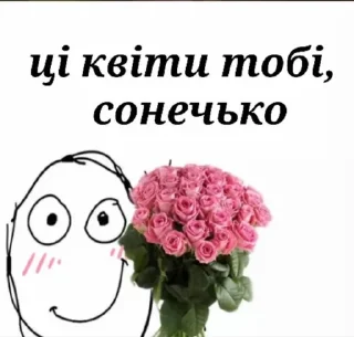 🙂 emoji Кицацица Telegram sticker 7 of 120