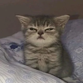 😑 emoji Любимые стикеры @Zlak_33 Telegram sticker 21 of 26