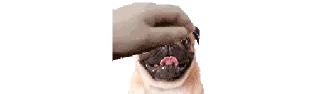 🌟 emoji моспепепеписьки Telegram sticker 5 of 113