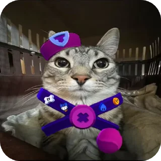 🐱 emoji Бебра скуик Telegram sticker 6 of 7