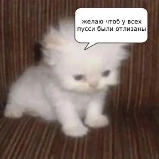 🌟 emoji дебилы Telegram sticker 13 of 16