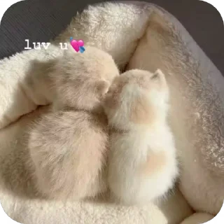 стикерочки for tru girls