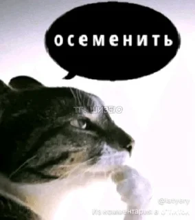 Sticker from мемы