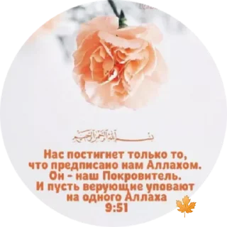 ✨ emoji Знание Telegram sticker 4 of 30