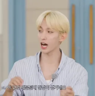Sticker from seventeen @VIVIARSVT