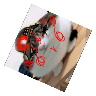 😄 emoji КОШАКИ 3 СЕЗОН Telegram sticker 5 of 29