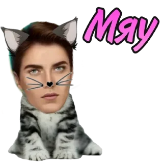 😼 emoji Что-то на татарском Telegram sticker 23 of 68