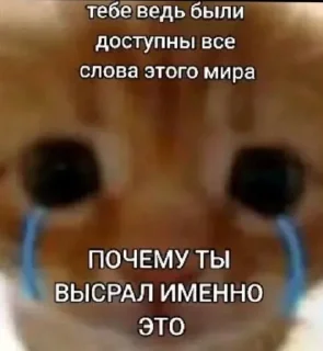 🌟 emoji Стики от@qwxXsm Telegram sticker 7 of 9