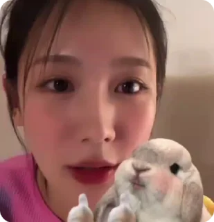 🐰 emoji miyeon | @crysta1tree Telegram sticker 20 of 31