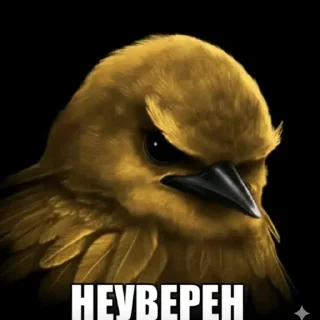 Sticker from птички delux edition