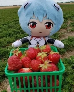 🍓 emoji Аянами рей Telegram sticker 15 of 20
