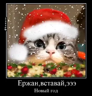 🎄 emoji Пламя-стики ККК❤️‍🔥(1) @Komaru Telegram sticker 16 of 50