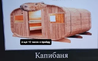 Sticker from Капибари мутанти🫡