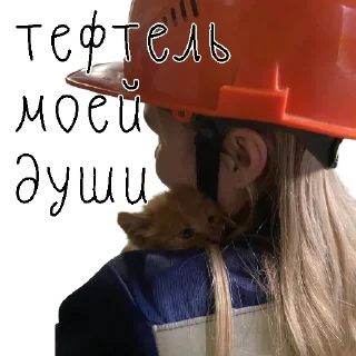 😘 emoji коты ишачат на заводе Telegram sticker 17 of 34