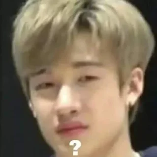 ❓ emoji skz memes Telegram sticker 24 of 120