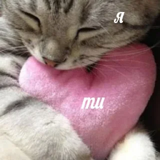 💞 emoji 💙вибрані меми💛 Telegram sticker 1 of 118