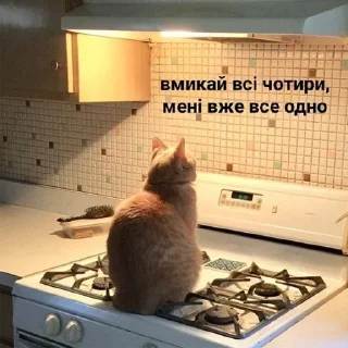 💀 emoji 💙вибрані меми💛 Telegram sticker 8 of 118
