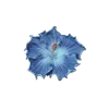 🤩 emoji 𝐅𝐥𝐨𝐰𝐞𝐫𝐬 🌸 @EVXSSQ Telegram sticker 17 of 73