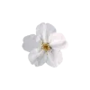 🤩 emoji 𝐅𝐥𝐨𝐰𝐞𝐫𝐬 🌸 @EVXSSQ Telegram sticker 20 of 73