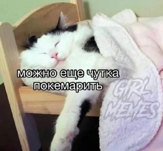 😴 emoji Bipolyarka Telegram sticker 23 of 60