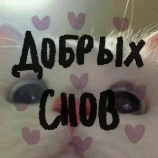 🌟 emoji Доброй ночи Telegram sticker 17 of 42