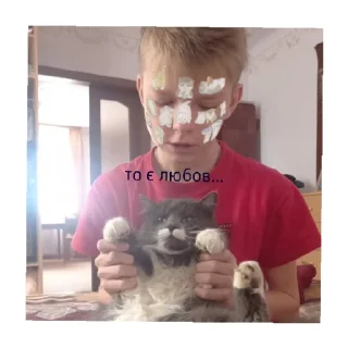 😄 emoji Гоу Telegram sticker 7 of 13