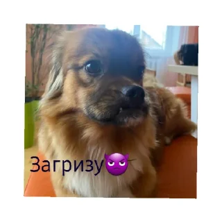 😄 emoji Гоу Telegram sticker 6 of 13