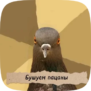 🪶 emoji Мега супер крутые стикеры Telegram sticker 18 of 50