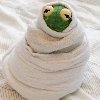 🗿 emoji froggy Telegram sticker 16 of 99