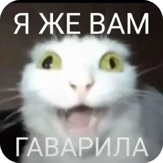 🫥 emoji Без слов Telegram sticker 13 of 55