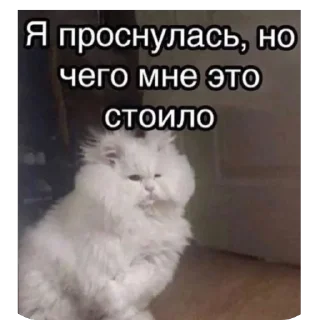 🫥 emoji Без слов Telegram sticker 17 of 55