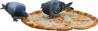 🍕 emoji pigeons for ania Telegram sticker 15 of 20