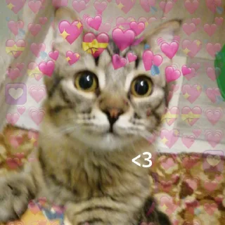 💕 emoji марсель создатель вселенной Telegram sticker 16 of 37