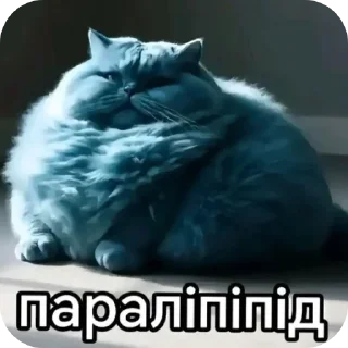🥺 emoji попа. Telegram sticker 6 of 31