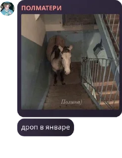 🧑‍🎨 emoji Полматери :: by @sjwkjrjr Telegram sticker 19 of 87