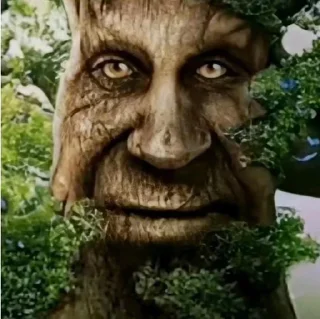 🌳 emoji Кринж стикерпака Telegram sticker 13 of 70